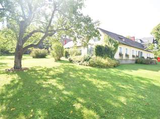 Bauernhausidylle im Wienerwald nahe dem Naturpark Föhrenberge, 1590000 €, Immobilien-Häuser in 2392 Sulz im Wienerwald