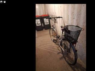 Damen Fahrrad, 250 €, Auto & Fahrrad-Fahrräder in 2700 Wiener Neustadt