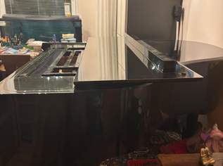 Feurich Flügel Klavier