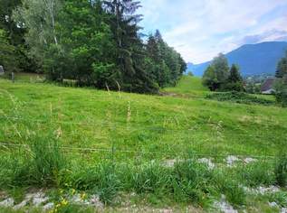 NEUER PREIS!!! Großgrundstück Bauland/Freiland, 99000 €, Immobilien-Grund und Boden in 8904 Ardning