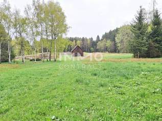 Großes Grundstück mit Fischteich und Badeteich, Erholungsanlage, Freizeitparadies mit viel Potenzial, 280000 €, Immobilien-Grund und Boden in 3632 Bad Traunstein