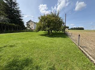 Baugrund in Siedlungsrandlage, 215000 €, Immobilien-Grund und Boden in 4062 Kirchberg-Thening Baugrund in Siedlungsrandlage, 215000 €, Immobilien-Grund und Boden in 4062 Kirchberg-Thening