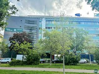 Hochwertige Bürofläche an der Brigittenauer Lände, 15566.72 €, Immobilien-Gewerbeobjekte in 1200 Brigittenau