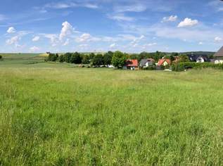 Baurechtsgrund, an Privatpersonen, auf 99 Jahre zu verpachten (Provisionsfrei), 559 €, Immobilien-Grund und Boden in 2112 Hetzmannsdorf