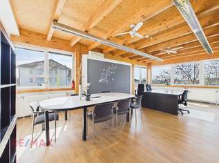 Büro- und Dienstleistungsfläche in Hard zu mieten, 0 €, Immobilien-Gewerbeobjekte in 6971 Marktgemeinde Hard
