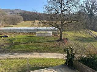 ***Gemütlich wohnen! DG-Wohnung mit Terrasse im Garten - Nahe Pleschingersee***, 1025 €, Immobilien-Wohnungen in Oberösterreich