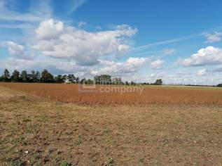 Ackerfläche in Parndorf zu verkaufen, 75000 €, Immobilien-Gewerbeobjekte in 7111 Parndorf Ackerfläche in Parndorf zu verkaufen, 75000 €, Immobilien-Gewerbeobjekte in 7111 Parndorf