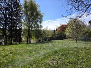 Großes Baugrundstück ohne Bauverpflichtung, 264000 €, Immobilien-Grund und Boden in 4202 Kirchschlag bei Linz Großes Baugrundstück ohne Bauverpflichtung, 264000 €, Immobilien-Grund und Boden in 4202 Kirchschlag bei Linz