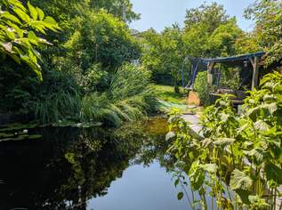 "Nur für motivierte Heimwerker!", 99999 €, Immobilien-Häuser in 2141 Ameis
