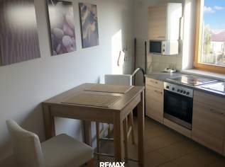 Zwei vermietete Anlegerwohnungen in zentraler Lage in Graz, Nähe FH Joanneum, 224000 €, Immobilien-Wohnungen in 8020 