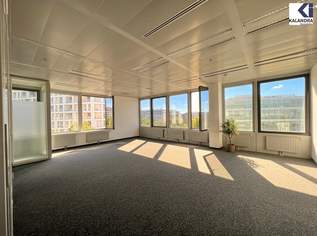 360 TOUR // BÜROFLÄCHE im ARES TOWER, 14540.23 €, Immobilien-Gewerbeobjekte in 1220 Donaustadt 360 TOUR // BÜROFLÄCHE im ARES TOWER, 14540.23 €, Immobilien-Gewerbeobjekte in 1220 Donaustadt