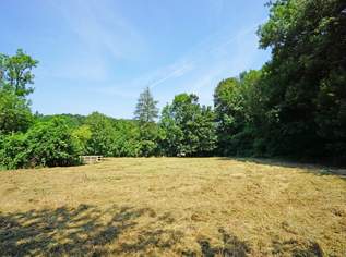 Ebenes Baugrundstück in sonniger Ruhelage - nur 2 km vom Pressbaumer Zentrum, 314000 €, Immobilien-Grund und Boden in 3021 Pressbaum Ebenes Baugrundstück in sonniger Ruhelage - nur 2 km vom Pressbaumer Zentrum, 314000 €, Immobilien-Grund und Boden in 3021 Pressbaum