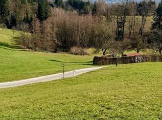 Baugrund mit atemberaubenden Ausblick - Aufgeschlossen & ohne Bauzwang., 382000 €, Immobilien-Grund und Boden in 4111 Walding