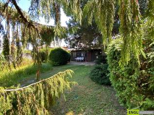 Nähe Alte Donau - Kleingartenidylle mit Ferienhaus mit Potential (ganzjähriges Wohnen), 497000 €, Immobilien-Grund und Boden in 1220 Donaustadt Nähe Alte Donau - Kleingartenidylle mit Ferienhaus mit Potential (ganzjähriges Wohnen), 497000 €, Immobilien-Grund und Boden in 1220 Donaustadt
