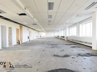 Moderne Gewerbefläche in Wiener Neudorf, 7206.64 €, Immobilien-Gewerbeobjekte in 2351 Gemeinde Wiener Neudorf