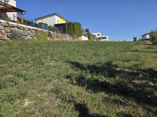 Baugrundstück in Haunoldstein - kein Hochwassergebiet, 100000 €, Immobilien-Grund und Boden in 3384 Haunoldstein