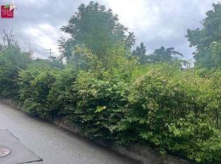 Baugrund in Klosterneuburg – Weidling 1.793 m² Grundstücksfläche | Altbestand vorhanden | teilbar !!, 0 €, Immobilien-Grund und Boden in 3400 Weidling Baugrund in Klosterneuburg – Weidling 1.793 m² Grundstücksfläche | Altbestand vorhanden | teilbar !!, 0 €, Immobilien-Grund und Boden in 3400 Weidling