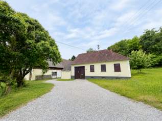 Sanierungsbedürftiger Vierkanthof in ruhiger Ortsrandlage! 6.100 m² Grundstück mit 4.100 m² Bauland & Platz für Tierhaltung