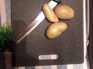 SCHNEIDE DEN ZWIEBEL IN SCHEIBEN UND RÖSTE IHN KURZ !!