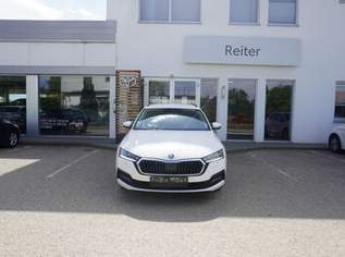 Octavia Combi 2,0 TDI DSG *LED*AHK*SHZ*, 20990 €, Auto & Fahrrad-Autos in 4600 Wels Octavia Combi 2,0 TDI DSG *LED*AHK*SHZ*, 20990 €, Auto & Fahrrad-Autos in 4600 Wels
