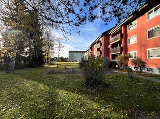 Gepflegte Eigentumswohnung im Herzen der Südsteiermark!, 158000 €, Immobilien-Wohnungen in 8435 Wagna Gepflegte Eigentumswohnung im Herzen der Südsteiermark!, 158000 €, Immobilien-Wohnungen in 8435 Wagna