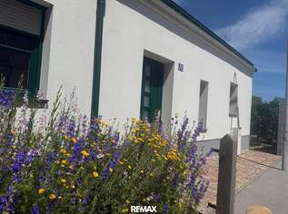 Modernes Miethaus mit uneinsehbarem Garten und Terrasse, 1607.02 €, Immobilien-Häuser in 2170 Ketzelsdorf