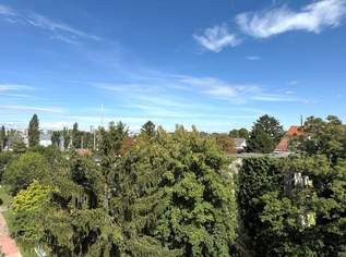 Neubau-Erstbezug - 1 Zimmer mit Außenfläche und sehr großer Gemeinschaftsterrase ca. 60 m² - unweit der U2 Station Stadlau, 690 €, Immobilien-Wohnungen in 1220 Donaustadt
