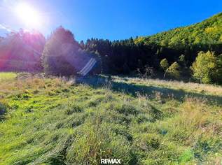 Großzügiges Baugrundstück in Reichraming, 149000 €, Immobilien-Grund und Boden in 4462 Reichraming Großzügiges Baugrundstück in Reichraming, 149000 €, Immobilien-Grund und Boden in 4462 Reichraming