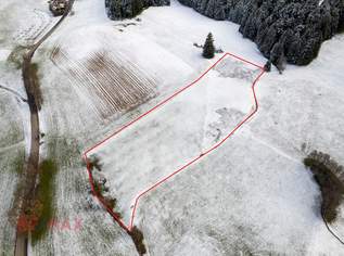 Goldene Felder für Ihre Ernte – Ihre Chance, den Boden zum Leben zu erwecken!, 0 €, Immobilien-Grund und Boden in 6912 Marktgemeinde Hörbranz