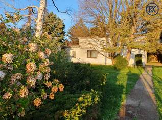 Ein Platz für neue Geschichten, 650000 €, Immobilien-Grund und Boden in 1220 Donaustadt