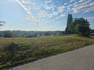 Baugrund + Freiland (Weingarten) in Aussichtslage auf slowenischer Seite!, 49000 €, Immobilien-Grund und Boden in 8472 Spielfeld Baugrund + Freiland (Weingarten) in Aussichtslage auf slowenischer Seite!, 49000 €, Immobilien-Grund und Boden in 8472 Spielfeld
