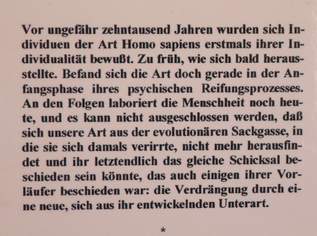 Buch "Der Sündenfall"