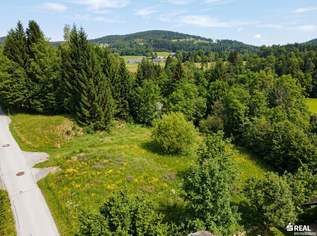 Traumhaftes Baugrundstück in Reauz – 2121m² für Ihr Eigenheim!, 198500 €, Immobilien-Grund und Boden in 9074 Reauz