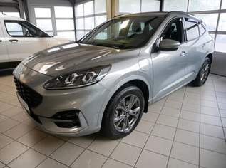 Kuga ST-Line X Plug-In Hybrid, 28900 €, Auto & Fahrrad-Autos in 2512 Katastralgemeinde Tribuswinkel