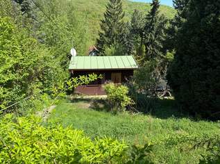 TOLLE FLÄCHE AM WOLFERSBERG MIT KLEINEM FERIENHAUS, 0 €, Immobilien-Grund und Boden in 1140 Penzing TOLLE FLÄCHE AM WOLFERSBERG MIT KLEINEM FERIENHAUS, 0 €, Immobilien-Grund und Boden in 1140 Penzing