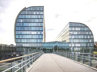 RIVERGATE - Moderne, helle Bürofläche (teilbar) mit Blick zum Maria-Restituta-Platz ab Juli 25!, 17416.16 €, Immobilien-Gewerbeobjekte in 1200 Brigittenau