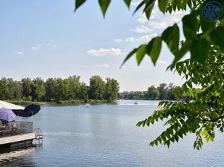 Platz für die ganze Familie: XXL-Wohnung an der Alten Donau, 0 €, Immobilien-Wohnungen in 1220 Donaustadt Platz für die ganze Familie: XXL-Wohnung an der Alten Donau, 0 €, Immobilien-Wohnungen in 1220 Donaustadt