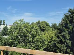 Provisionsfrei: "Das Schmuckstück" - Fertigstellung im Dezember!, 478000 €, Immobilien-Wohnungen in 1210 Floridsdorf Provisionsfrei: "Das Schmuckstück" - Fertigstellung im Dezember!, 478000 €, Immobilien-Wohnungen in 1210 Floridsdorf