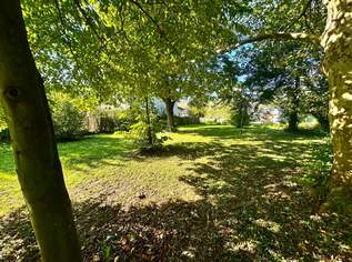 Sonniges Baugrundstück im Ortsgebiet Lanzendorf bei Mistelbach!, 269000 €, Immobilien-Grund und Boden in 2130 Lanzendorf