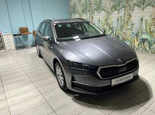 Octavia Selection TDI DSG, 37900 €, Auto & Fahrrad-Autos in 8352 Unterlamm