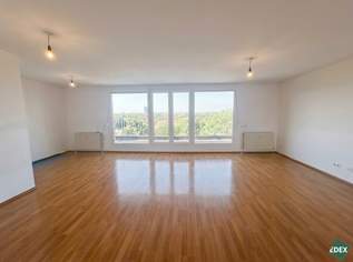 Direkt an der Donau: Schöne 4-Zimmer-Maisonette-Wohnung mit Balkon und Terrasse, 2499 €, Immobilien-Wohnungen in 1220 Donaustadt Direkt an der Donau: Schöne 4-Zimmer-Maisonette-Wohnung mit Balkon und Terrasse, 2499 €, Immobilien-Wohnungen in 1220 Donaustadt