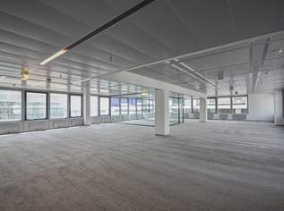 Modernes Arbeiten im Ares Tower!, 12348 €, Immobilien-Gewerbeobjekte in 1220 Donaustadt