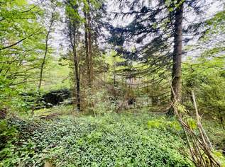 Baugrundstück in herrlicher Ruhelage - vor den Toren Wiens - grüner Weitblick übers Tal - gut bebaubar, 449000 €, Immobilien-Grund und Boden in 3021 Pressbaum