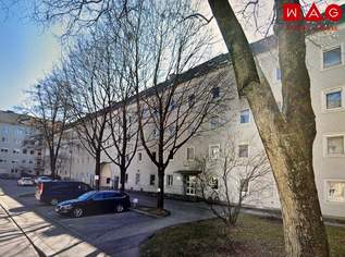 Moderne und eingerichtete Büro-/Ordinations-/Geschäftsfläche am nachgefragten Bindermichl mit bester Infrastruktur, bestehend aus 5 Räumen und 2 WC's!, 1217.89 €, Immobilien-Gewerbeobjekte in Oberösterreich