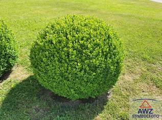 Einfamilienhaus in der Gemeinde Seeboden!, 0 €, Immobilien-Häuser in 9871 Seeboden am Millstätter See