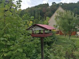 Charmantes Einfamilienhaus mit Garage, Werkstatt & großem Nebengebäude in Gloggnitz, 275000 €, Immobilien-Häuser in 2640 Gemeinde Gloggnitz