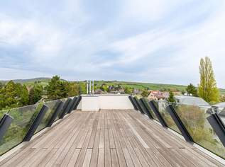 Exklusives Penthouse mit 3-Zimmern zu verkaufen!, 4000000 €, Immobilien-Wohnungen in 1190 Döbling