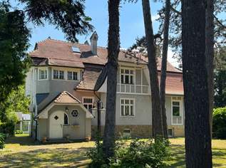 Herrschaftliche Villa aus der Gründerzeit auf großzügigem Parkgrundstück, 1290000 €, Immobilien-Häuser in 3430 Langenlebarn - Oberaigen