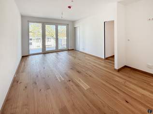 Eigentumswohnungen Projekt "Veritas" Top 1/4, 4 Zimmer, 347000 €, Immobilien-Wohnungen in 3430 Gemeinde Tulln an der Donau