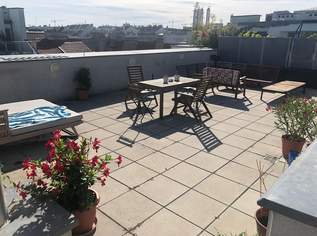 WG-Zimmer in schöner Dachgeschosswohnung mit riesiger Dachterrasse zu vermieten WG-Zimmer in schöner Dachgeschosswohnung mit riesiger Dachterrasse zu vermieten